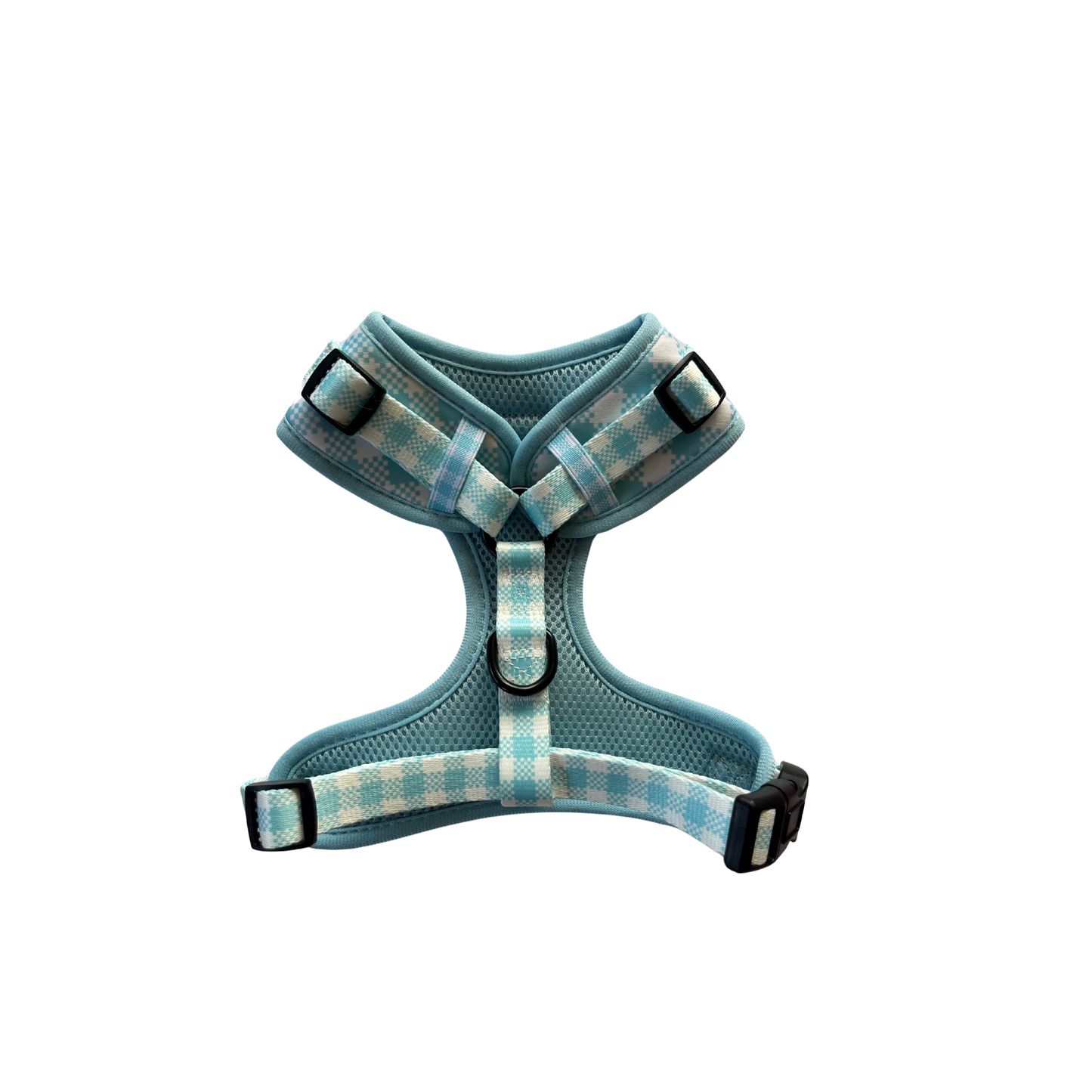 'Frosty Blue' - Harness