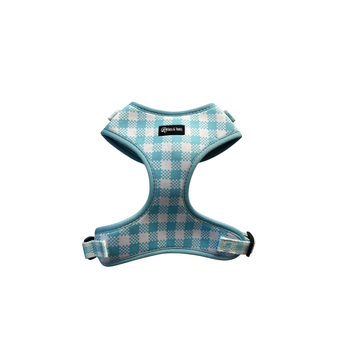 'Frosty Blue' - Harness