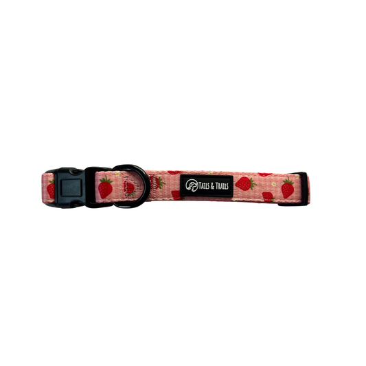 'Berry Pawfect' - Collar