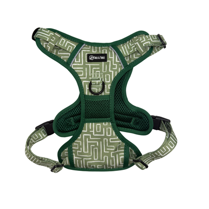 'Matcha Paws' - Harness