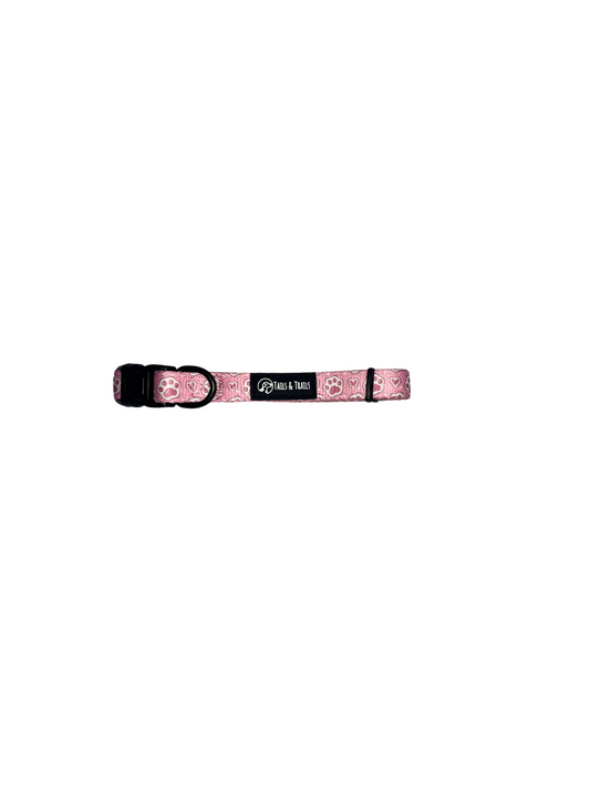 'Pink Pawsitive' - Collar