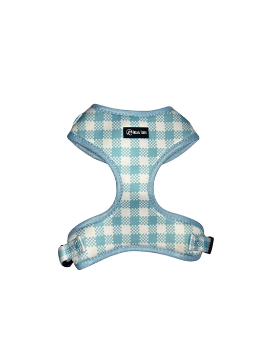 'Frosty Blue' - Harness