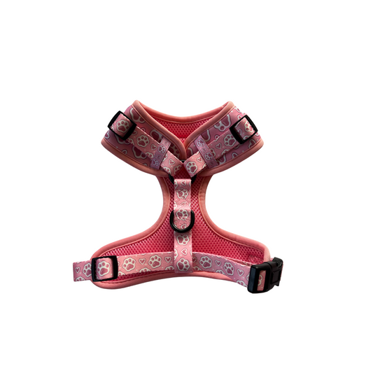 'Pink Pawsitive' - Harness